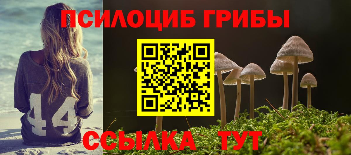 Галлюциногенные грибы ЛСД  Вход с VPN  Кушва  Псилоцибиновые грибы мухоморы 
